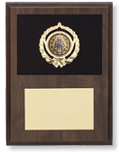 Insert Felt Plaques