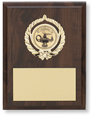 Insert Participation Plaques