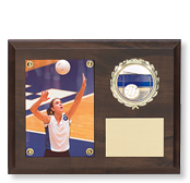 Insert Picture Plaques