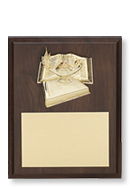 Relief Participation Plaques