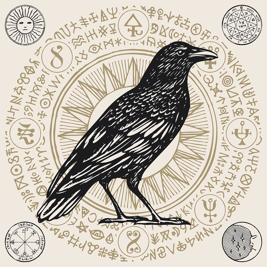 Black Magic Crow