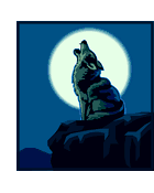 Howling Coyote