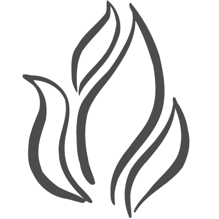 Tap into the Force, the Spirit, the Higher Power