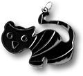 The Witch's Cat