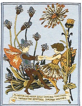 Romantic Tapestry Plantain And Moon By Cicely Mary Barker, 24in X 19in