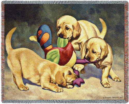 I've Got It Tapestry Throw, 70in x 54in