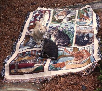 Kitty Corner Tapesty Throw, 51in x 68in Kitty Corner Tapesty Throw, 51in x 68in