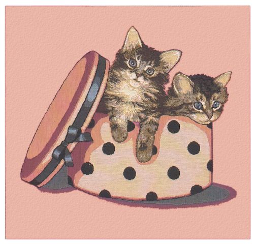 Kitty Mischief Cushion Cover, 18in x 18in