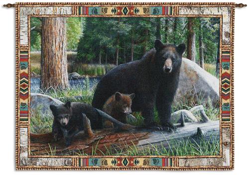New Discoveries Tapestry Wall Hanging, 71in x 53in