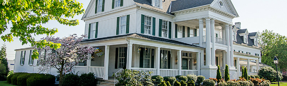 Christmas Tree Hill in the Mansion