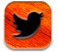 �Twitter"