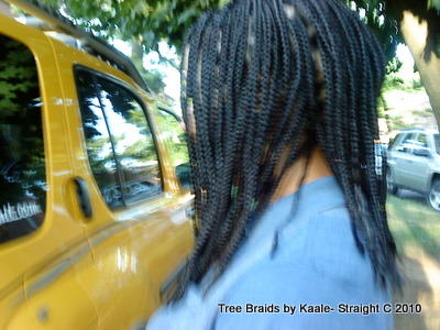 Box braid for Caucasian, Left6.