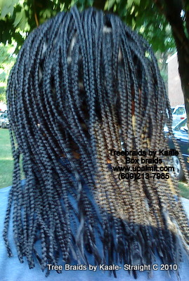 Box braid for Caucasian 5, Right7a.