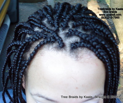 Box braid for Caucasian, Top 8.