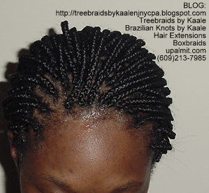 Boxbraids with Bun- Top.