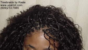 Wavy  Individual Treebraids, CloseUp111.