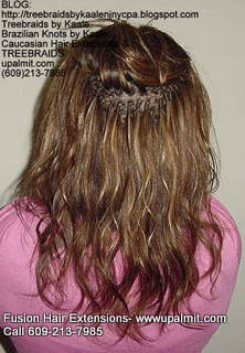 Brazilian Knot.