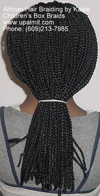 Box braids- back.