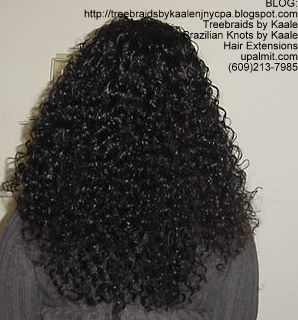 Curly Tree Braids Proof- Back82.