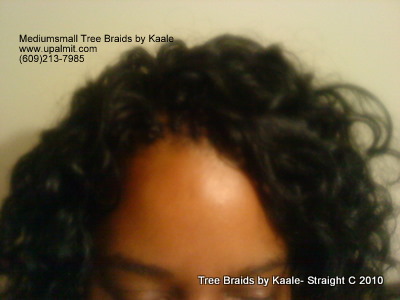 Curly Tree Braids- Mediumsmall, Top 2.