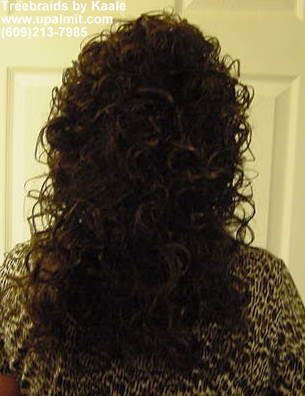 Treebraids by Kaale- curly treebraids side view.
