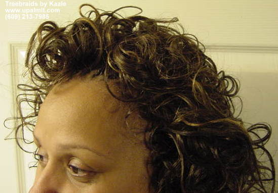 Treebraids- curly treebraids top view.