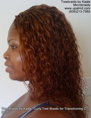 Microbraids, Left 16.