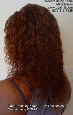 Microbraids, Left17.