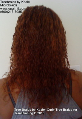 Microbraids, Back 19.