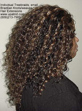 Wavy and curly Individual Treebraids, R113.