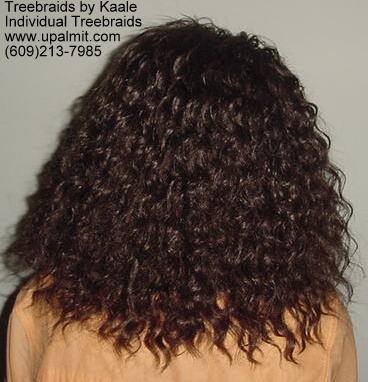 Wavy  individual treebraids, Back107.