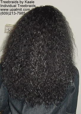 Wavy  Individual Treebraids, Back.