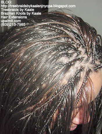 Straight  Individual Treebraids, Bk113.