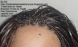 Straight  Individual Treebraids, Bk113.
