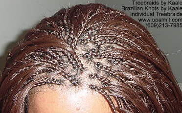 Wavy  Individual Treebraids, Top112.