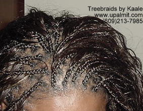 Wavy  Individual Treebraids, Top109.