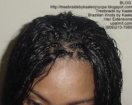 Wet and wavy Individual Treebraids, Top120.