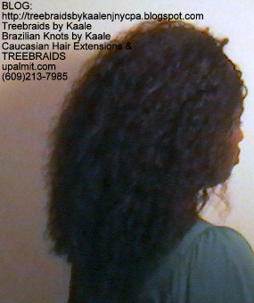 Tree Braids- Brazilian Curly human hair Right2231.