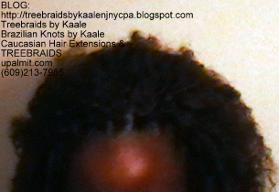 Tree Braids- Brazilian Curly human hair Top2232.