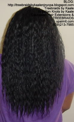 Tree Braids- Wet n Wavy human hair Back2235.