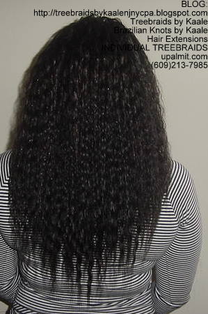 Wet and wavy Individual Treebraids, Back54.