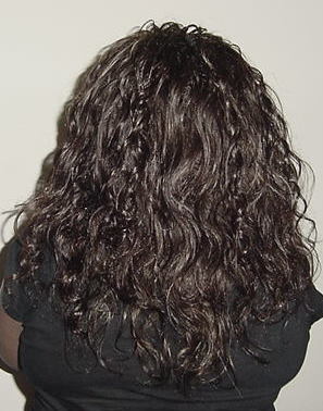 Wavy  individual treebraids, Back109.