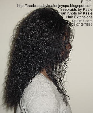 Wavy Individual Treebraids, Left131.