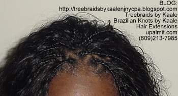 Wavy Individual Treebraids, Top132.