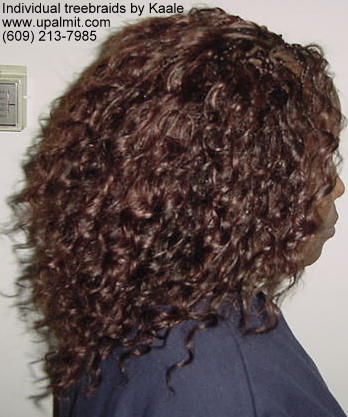 Individual treebraids with wavy hair, right view.