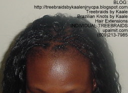 Individual Treebraids with KAALE brand Wet n Wavy human hair Top2163.