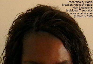 Wavy and curly Individual Treebraids, Top114.4.