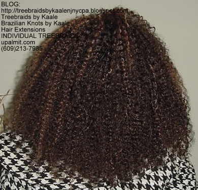 Kinky curly Treebraids, Nic Back129.