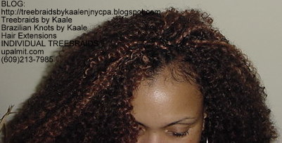 Kinky curly Treebraids, Nic Top131.