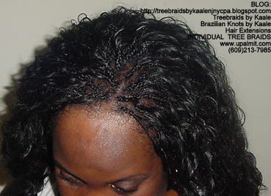 Wavy Individual Treebraids, Top145.